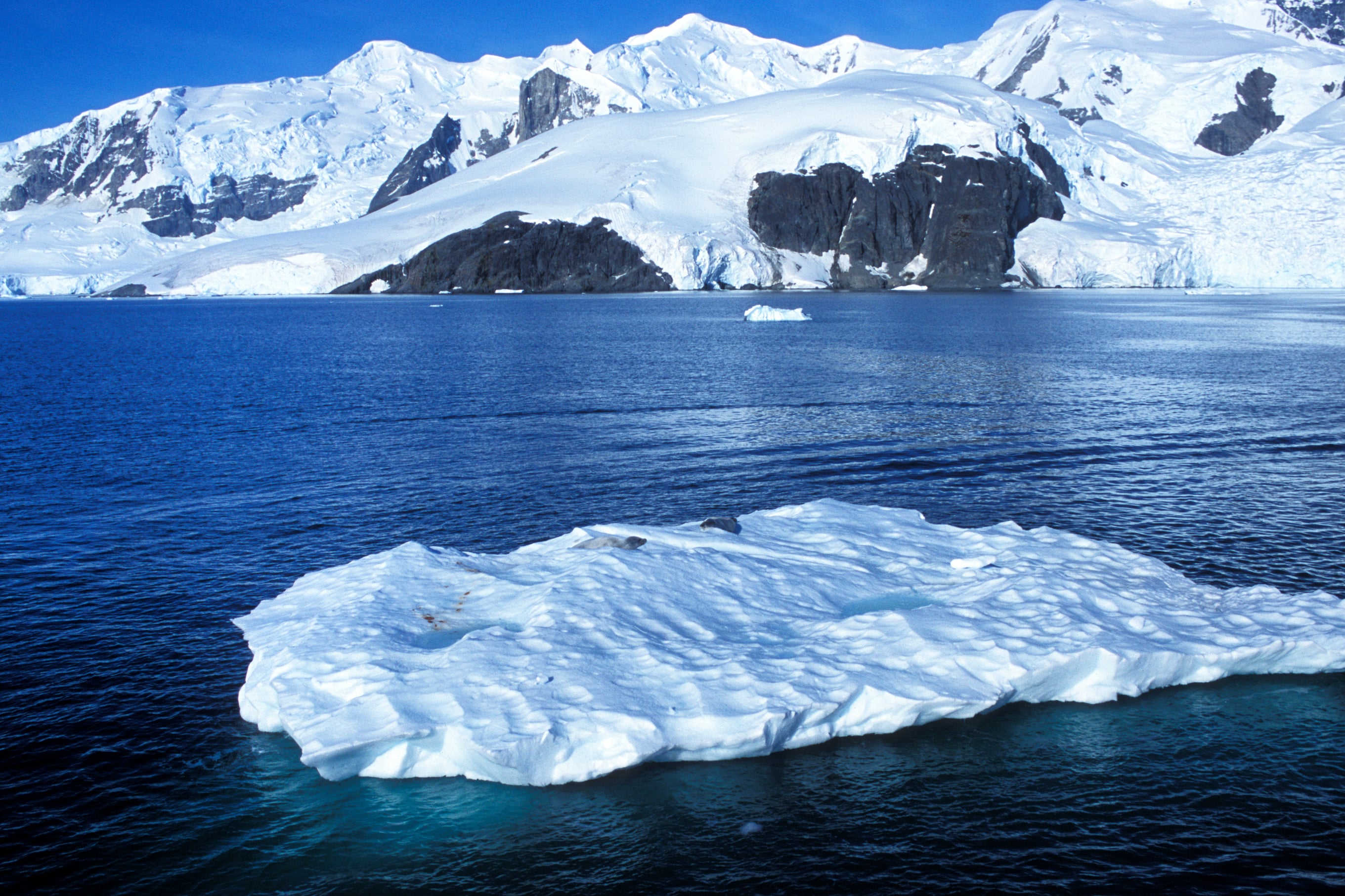 Snow and glacier covered peaks surrounding Antarctica bay